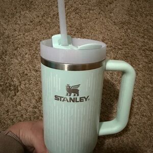 Stanley Light Green Insulated Mug